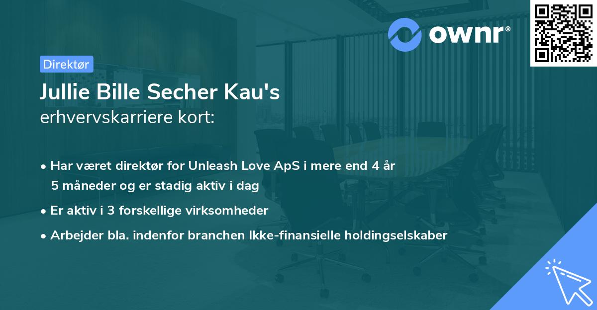 Jullie Bille Secher Kau's erhvervskarriere kort