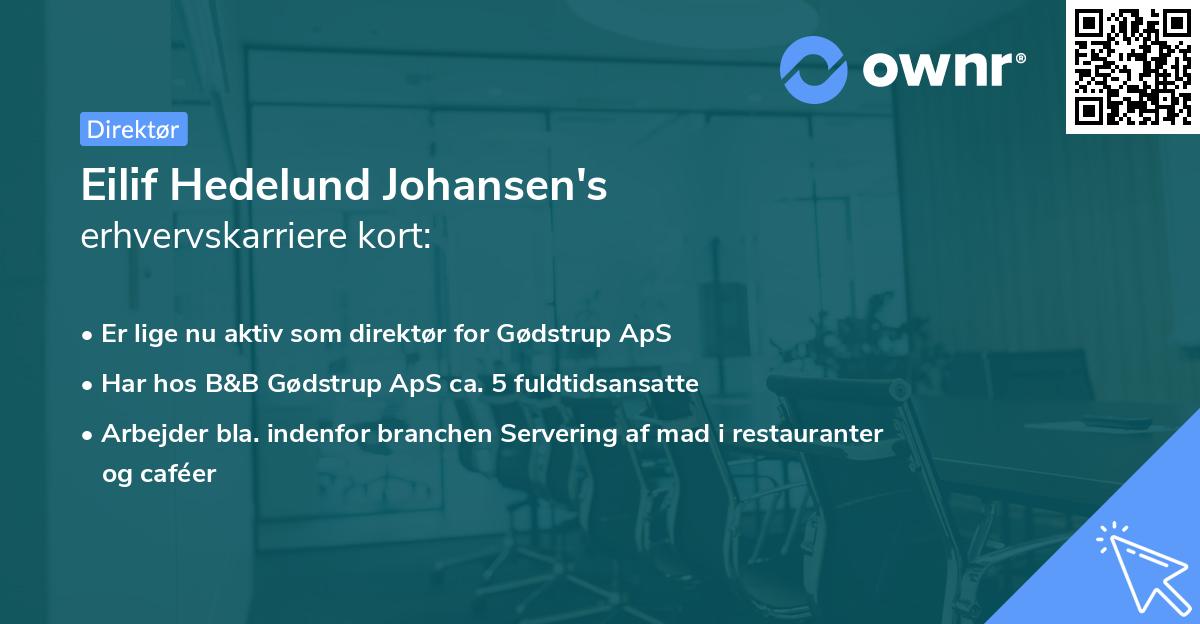 Eilif Hedelund Johansen's erhvervskarriere kort