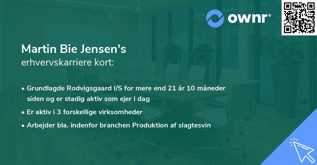 Martin Bie Jensen's erhvervskarriere kort