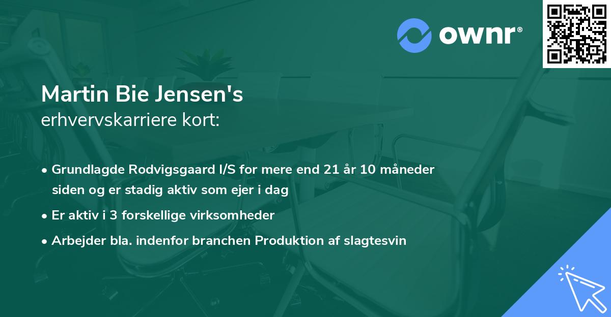 Martin Bie Jensen's erhvervskarriere kort