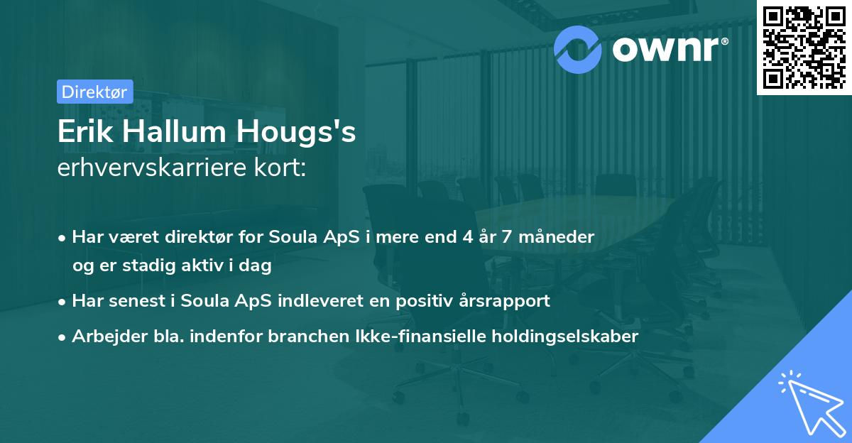 Erik Hallum Hougs's erhvervskarriere kort