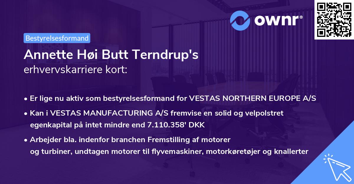 Annette Høi Butt Terndrup's erhvervskarriere kort