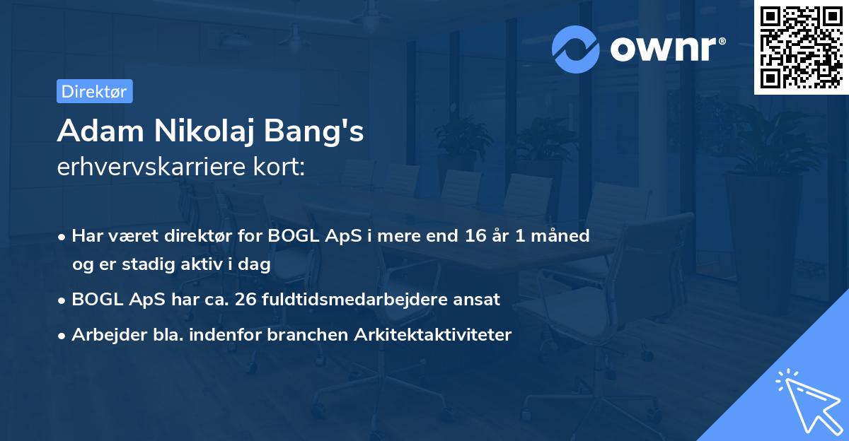 Adam Nikolaj Bang's erhvervskarriere kort