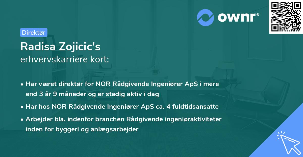 Radisa Zojicic's erhvervskarriere kort