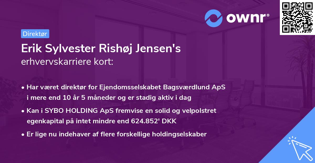 Erik Sylvester Rishøj Jensen's erhvervskarriere kort