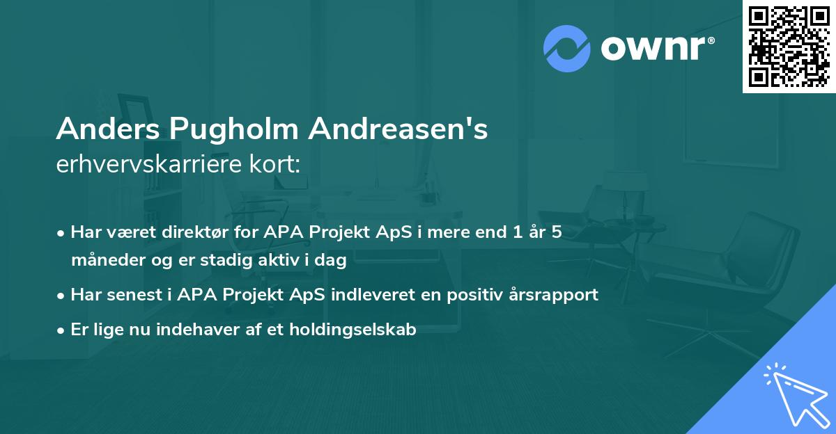 Anders Pugholm Andreasen's erhvervskarriere kort