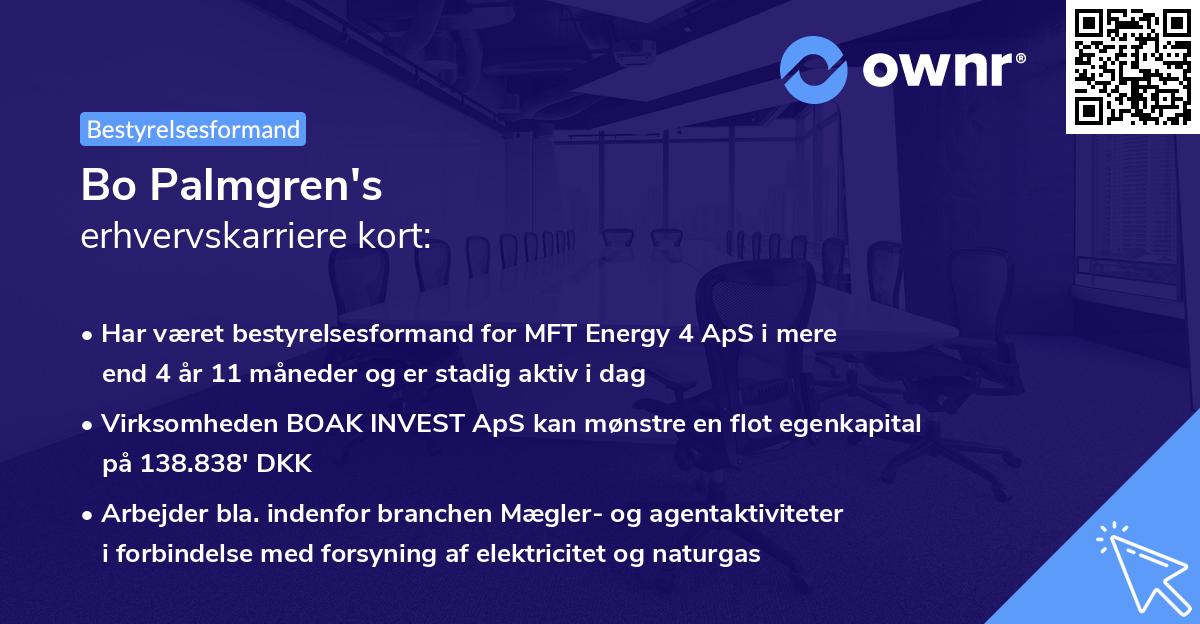 Bo Palmgren's erhvervskarriere kort
