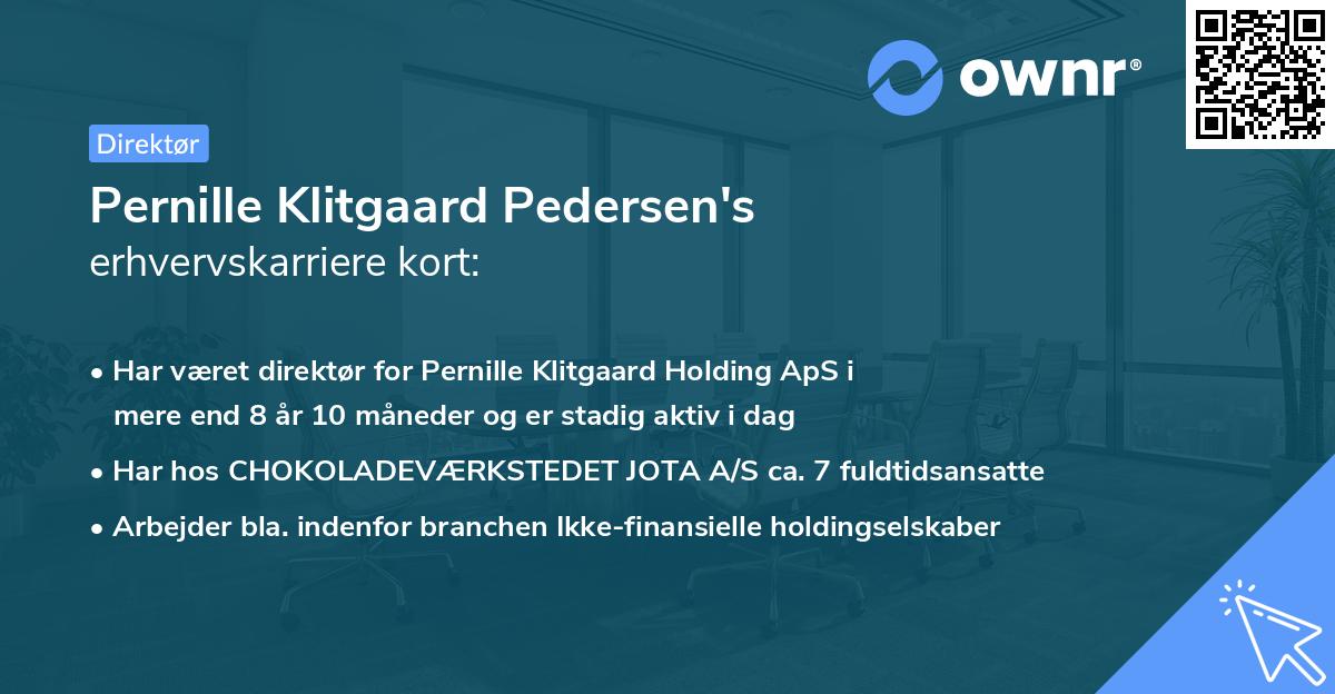 Pernille Klitgaard Pedersen's erhvervskarriere kort