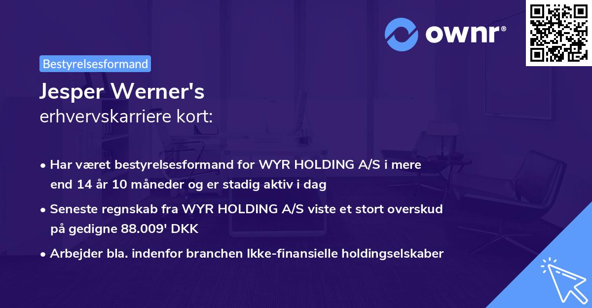 Jesper Werner's erhvervskarriere kort