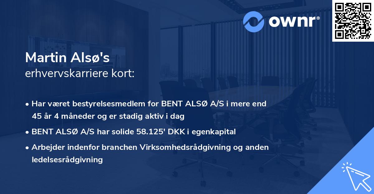 Martin Alsø's erhvervskarriere kort