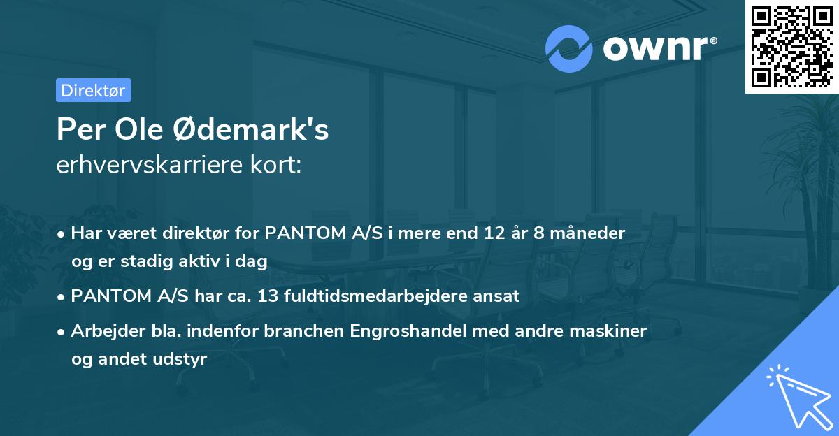 Per Ole Ødemark's erhvervskarriere kort