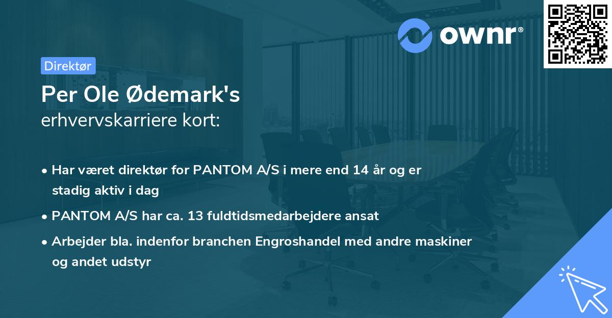 Per Ole Ødemark's erhvervskarriere kort