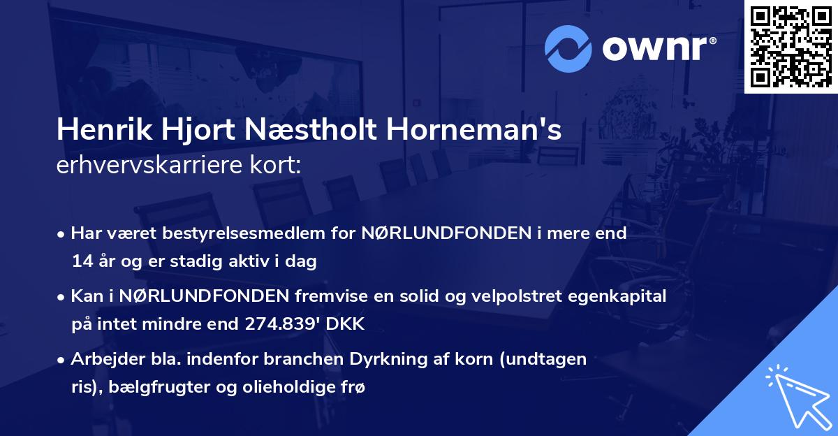 Henrik Hjort Næstholt Horneman's erhvervskarriere kort