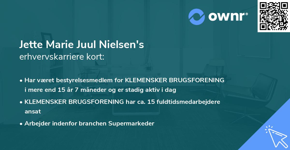 Jette Marie Juul Nielsen's erhvervskarriere kort