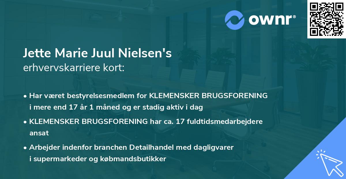 Jette Marie Juul Nielsen's erhvervskarriere kort