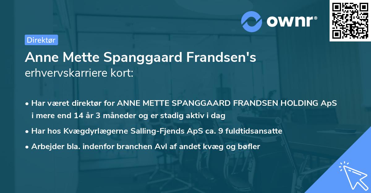 Anne Mette Spanggaard Frandsen's erhvervskarriere kort