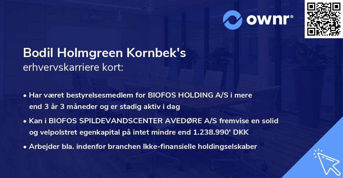 Bodil Holmgreen Kornbek's erhvervskarriere kort