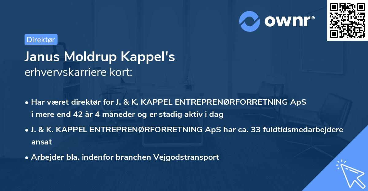 Janus Moldrup Kappel's erhvervskarriere kort