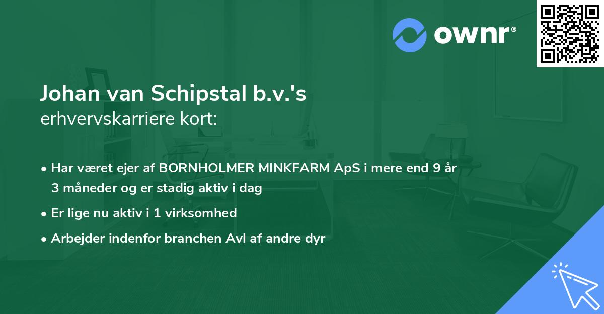 Johan van Schipstal b.v.'s erhvervskarriere kort