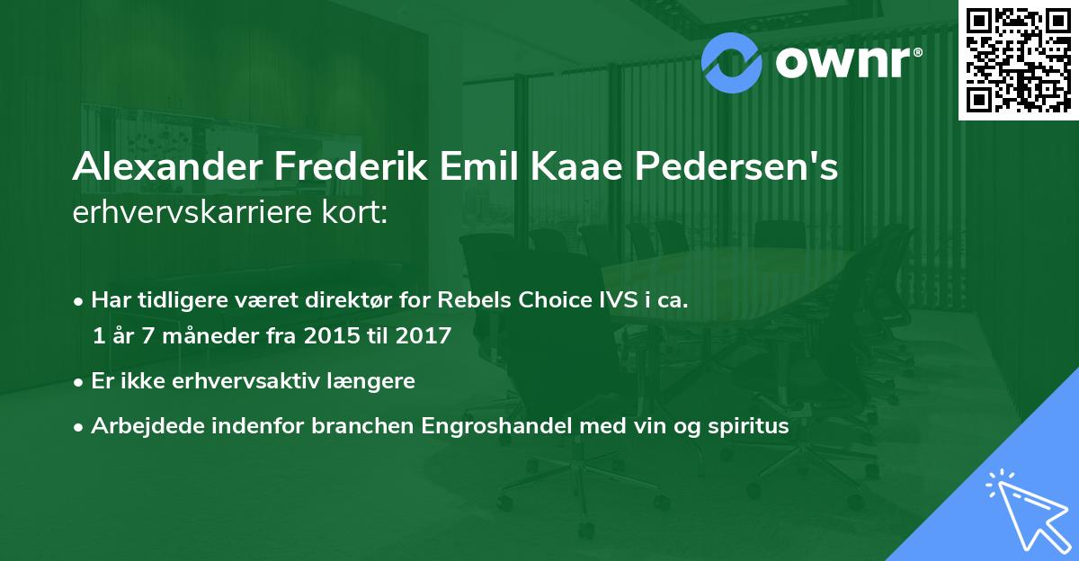 Alexander Frederik Emil Kaae Pedersen's erhvervskarriere kort