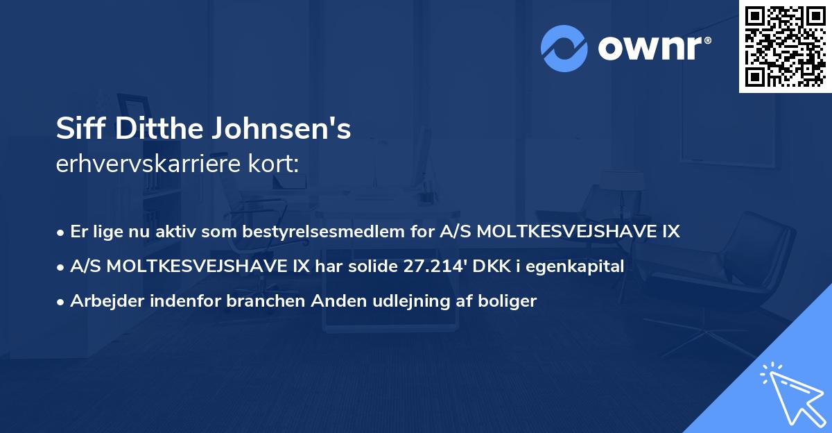 Siff Ditthe Johnsen's erhvervskarriere kort