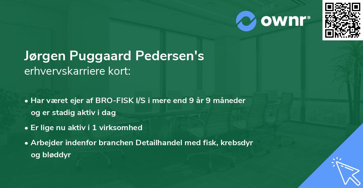Jørgen Puggaard Pedersen's erhvervskarriere kort