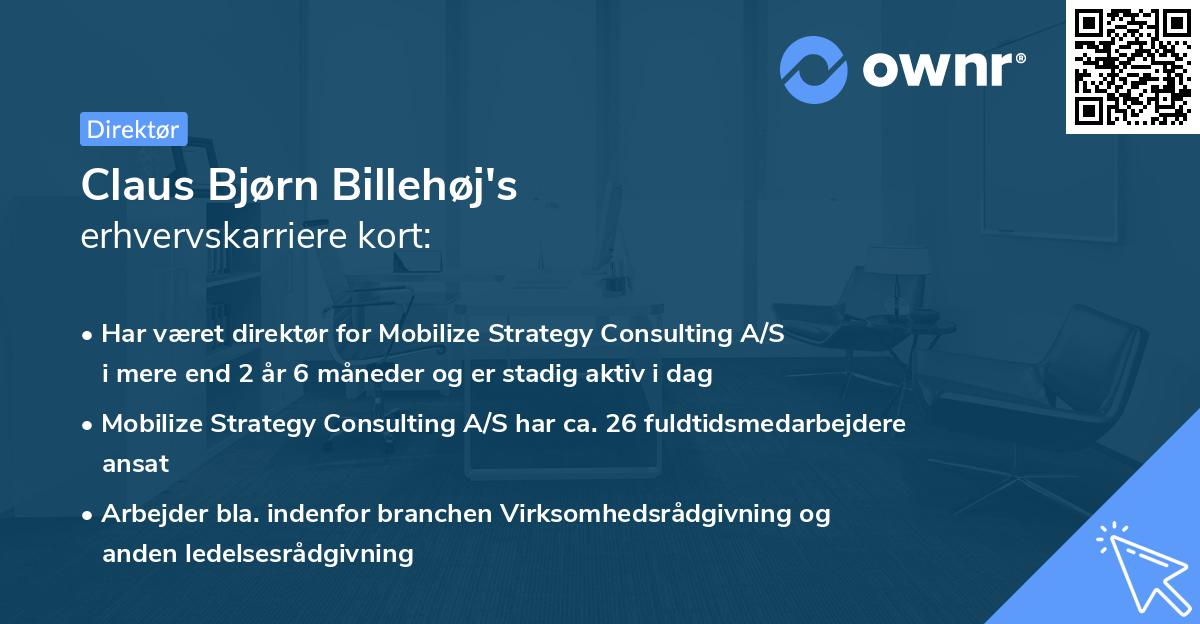 Claus Bjørn Billehøj's erhvervskarriere kort