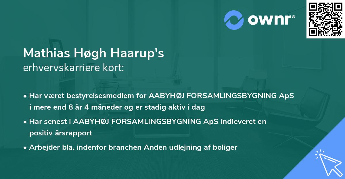 Mathias Høgh Haarup's erhvervskarriere kort