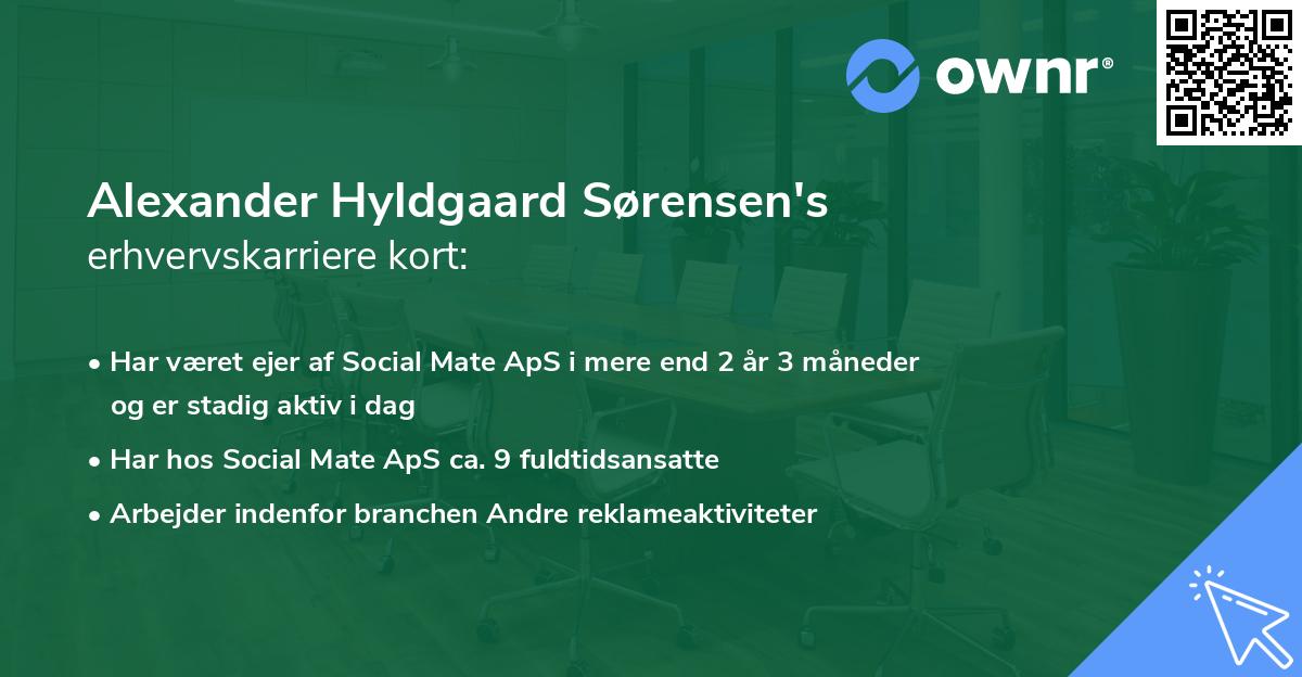 Alexander Hyldgaard Sørensen's erhvervskarriere kort