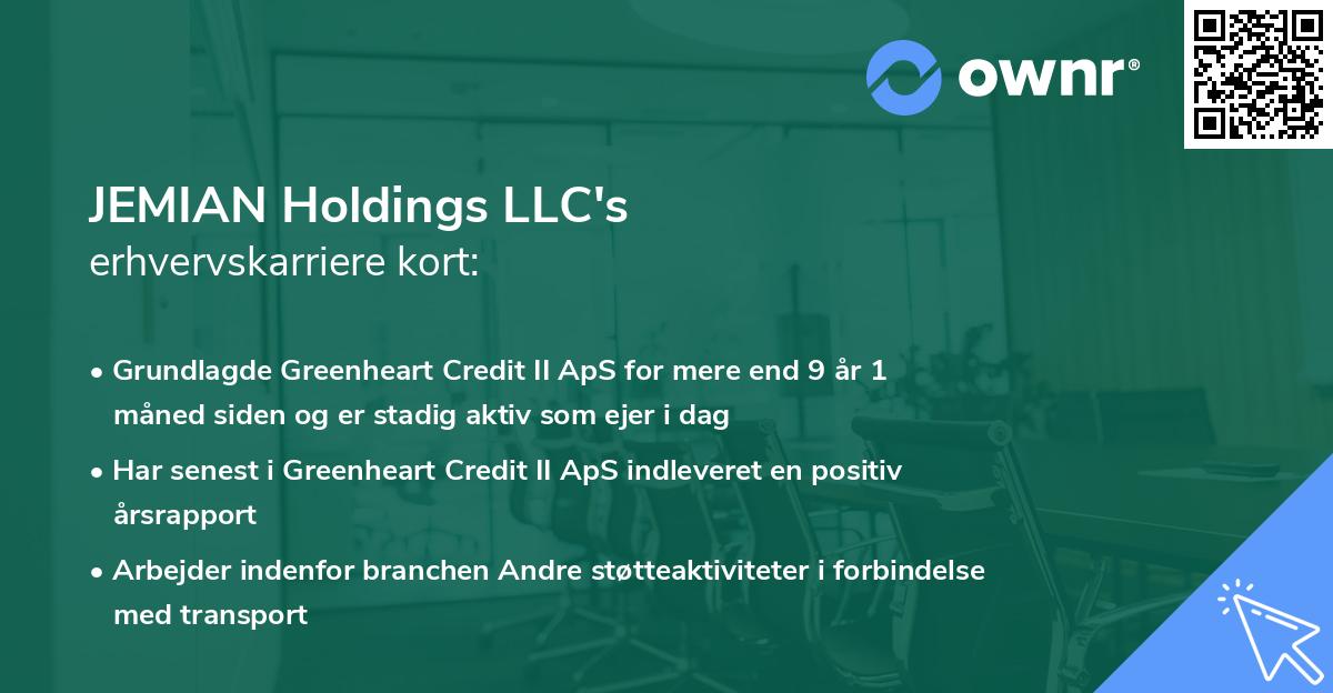 JEMIAN Holdings LLC's erhvervskarriere kort