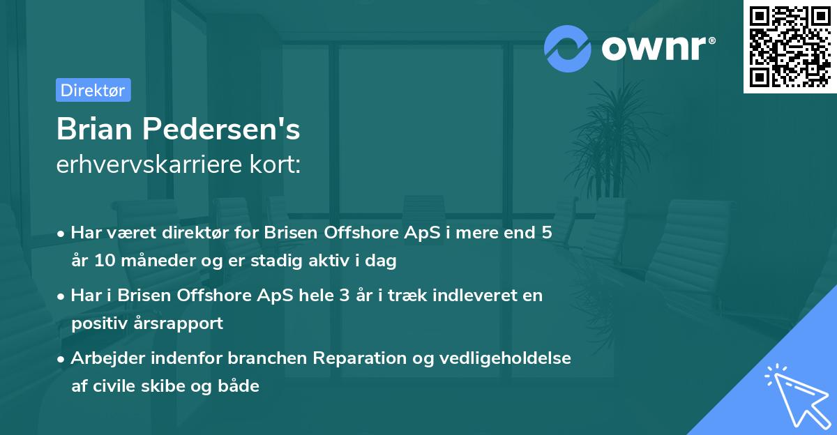Brian Pedersen's erhvervskarriere kort