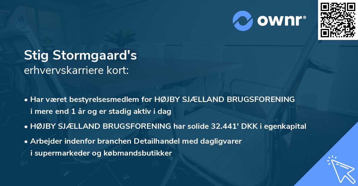 Stig Stormgaard's erhvervskarriere kort