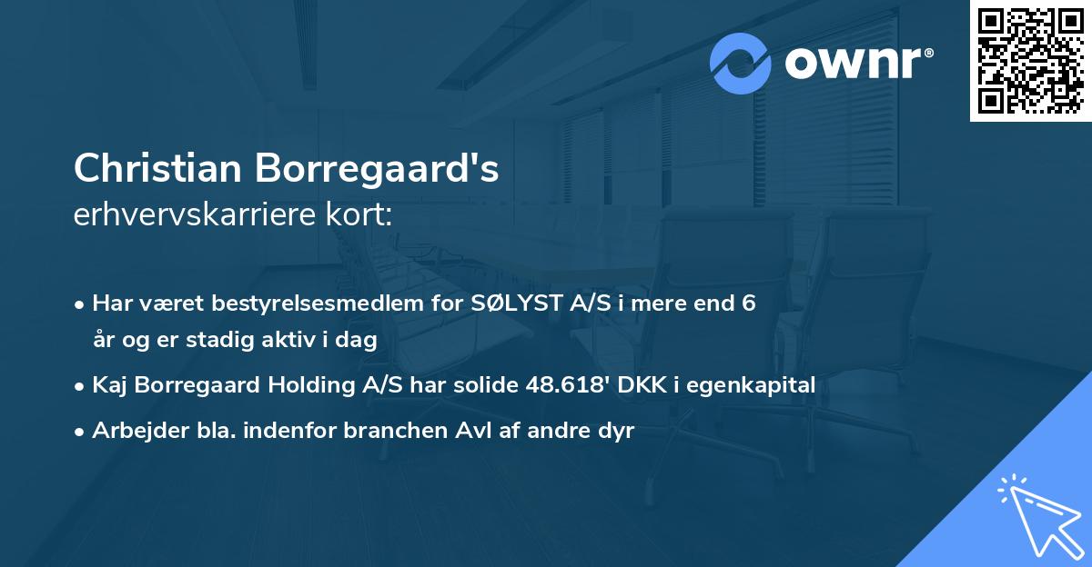 Christian Borregaard's erhvervskarriere kort
