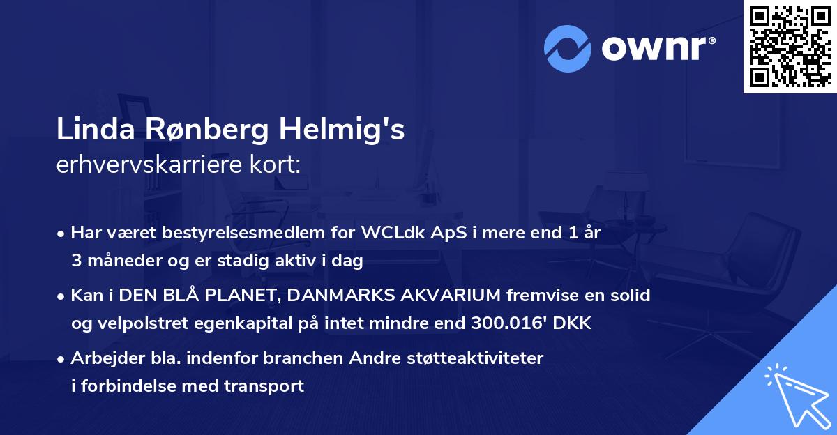Linda Rønberg Helmig's erhvervskarriere kort