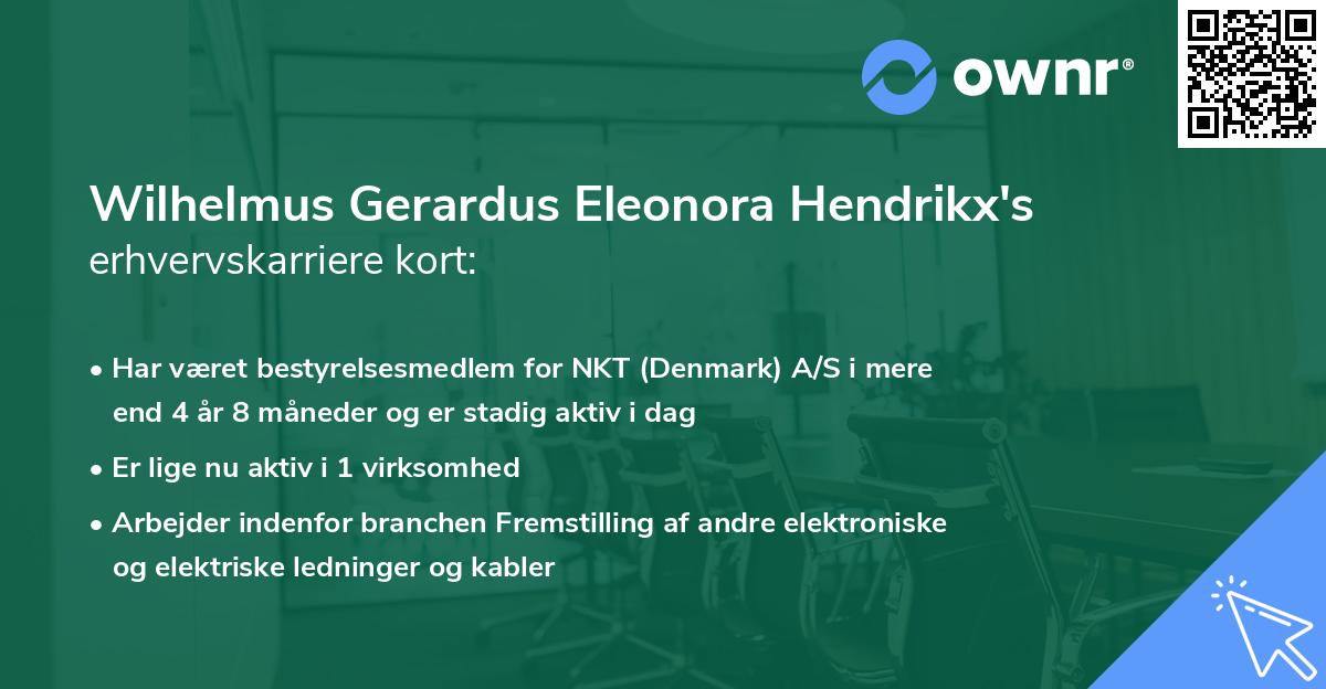 Wilhelmus Gerardus Eleonora Hendrikx's erhvervskarriere kort