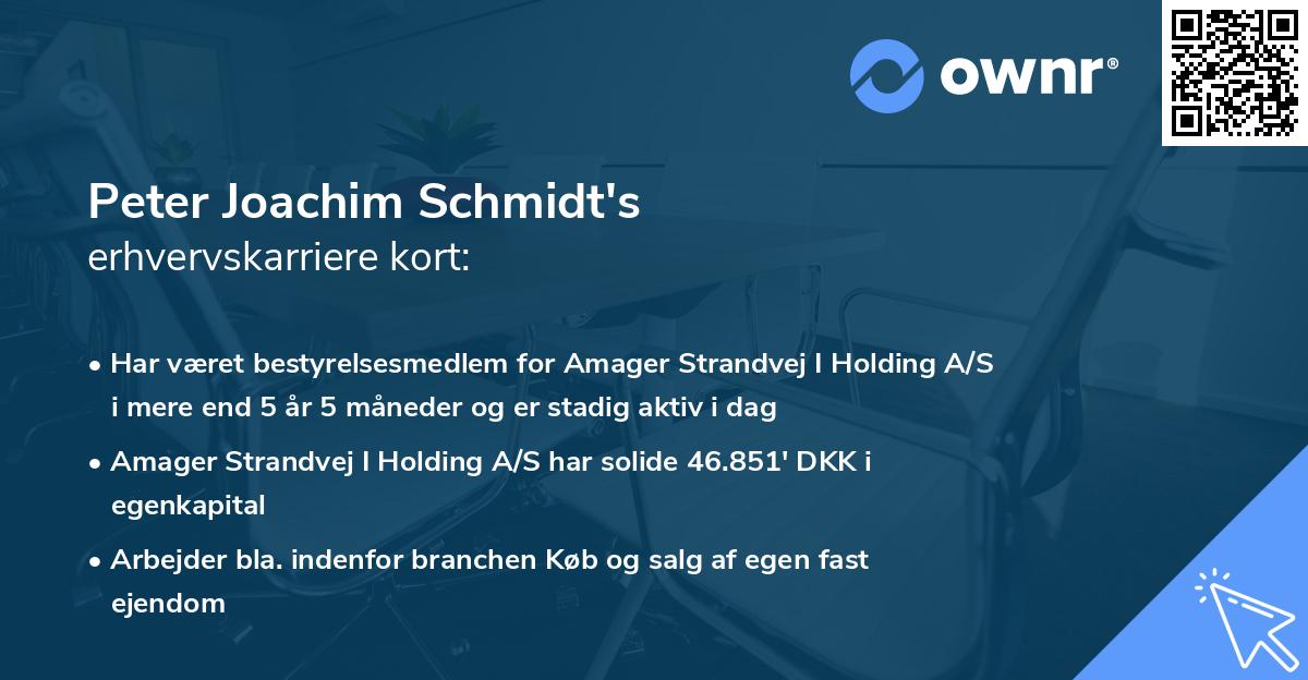 Peter Joachim Schmidt's erhvervskarriere kort