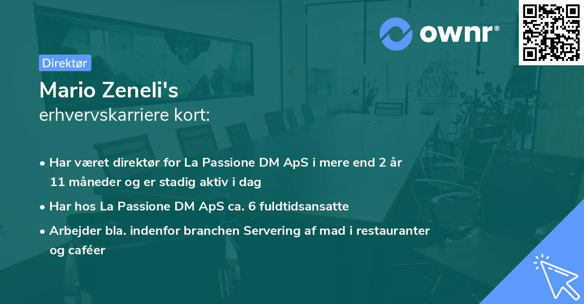 Mario Zeneli's erhvervskarriere kort