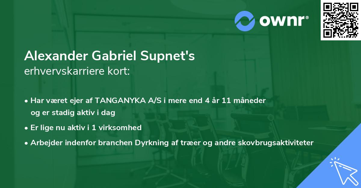Alexander Gabriel Supnet's erhvervskarriere kort