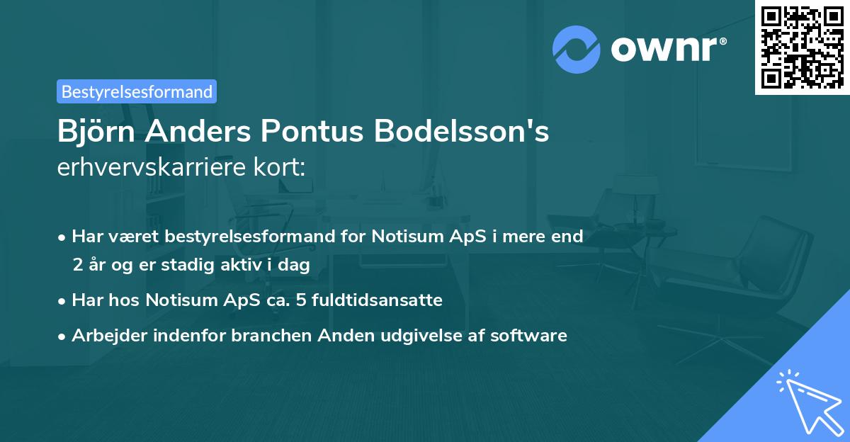 Björn Anders Pontus Bodelsson's erhvervskarriere kort