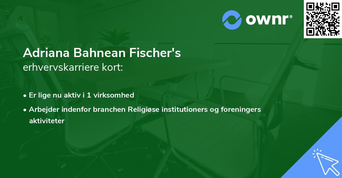 Adriana Bahnean Fischer's erhvervskarriere kort