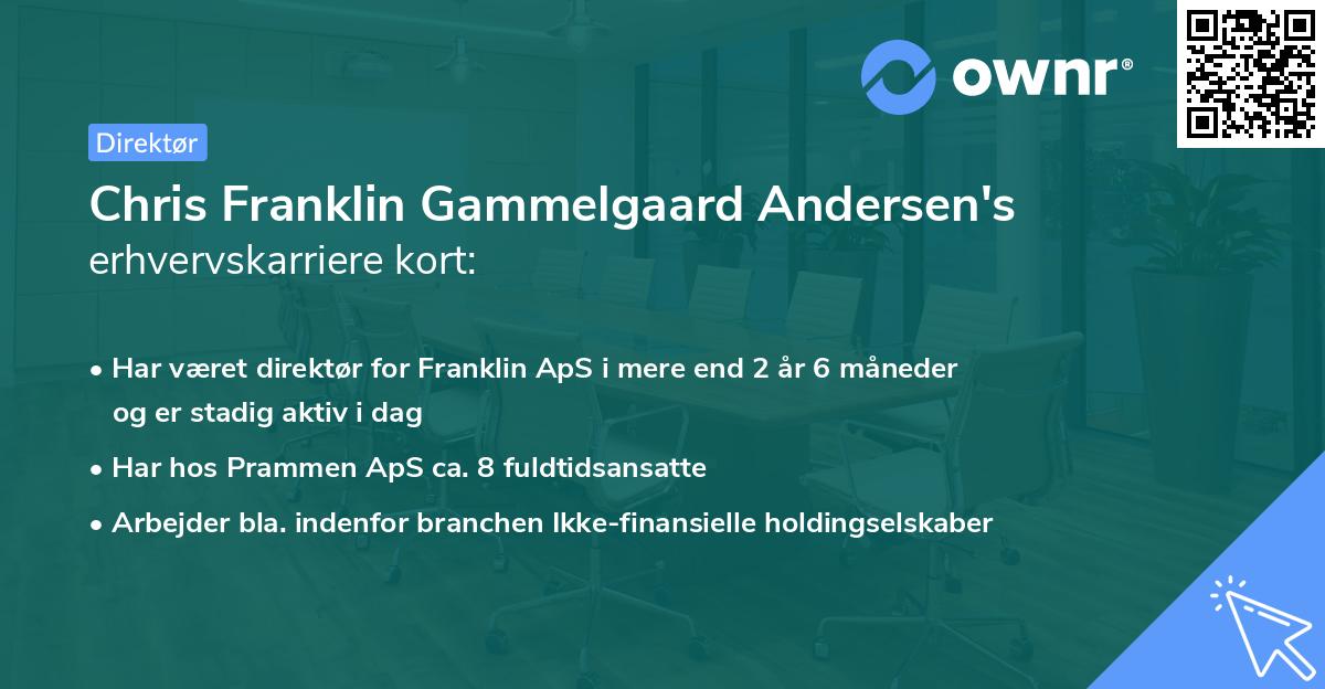 Chris Franklin Gammelgaard Andersen's erhvervskarriere kort