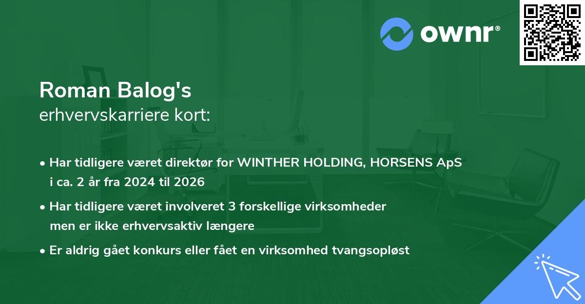 Roman Balog's erhvervskarriere kort