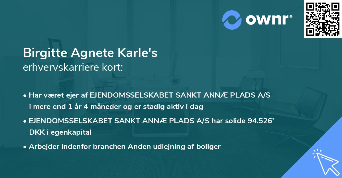 Birgitte Agnete Karle's erhvervskarriere kort