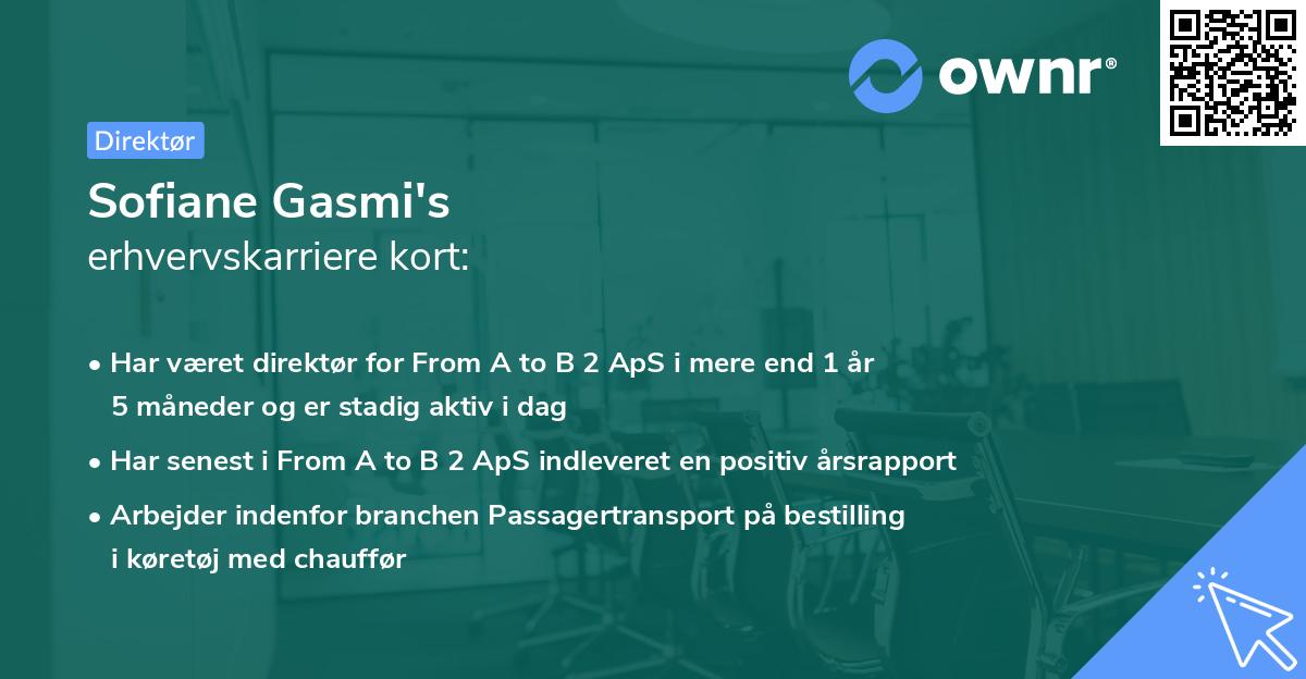 Sofiane Gasmi's erhvervskarriere kort