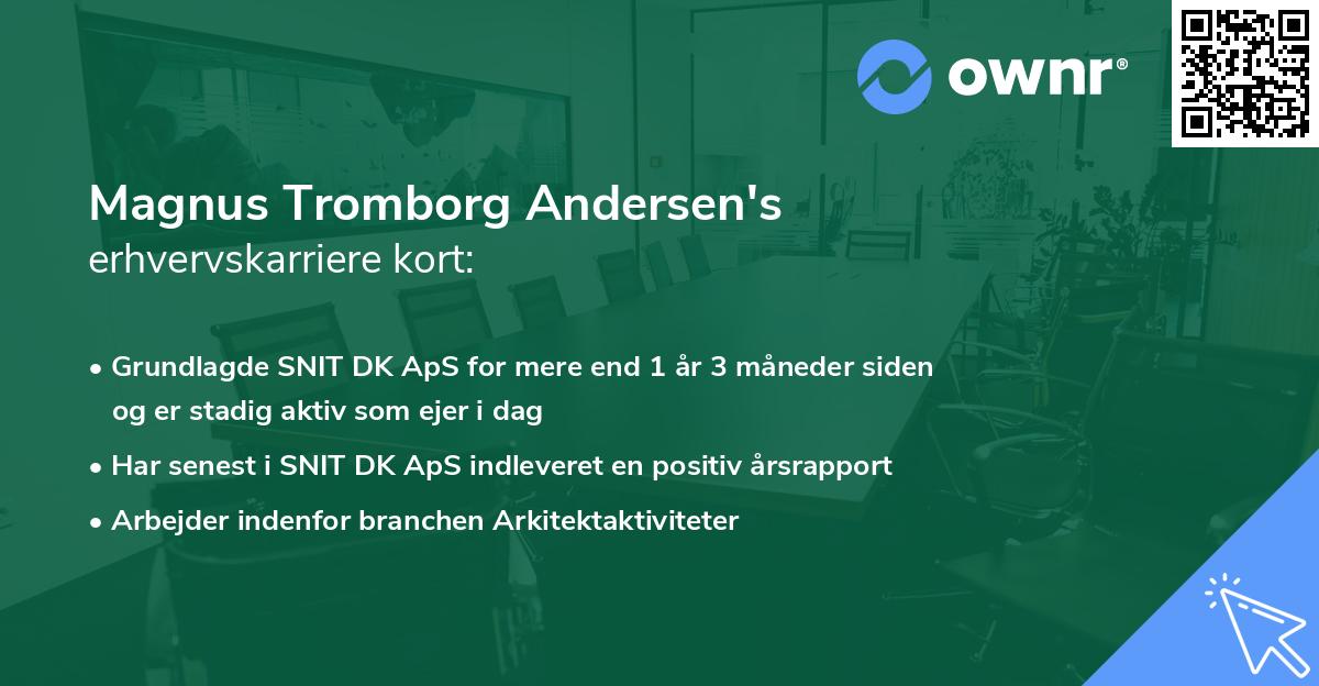Magnus Tromborg Andersen's erhvervskarriere kort