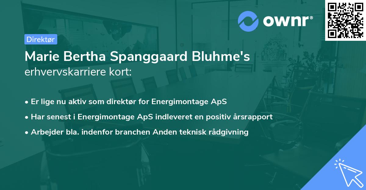Marie Bertha Spanggaard Bluhme's erhvervskarriere kort
