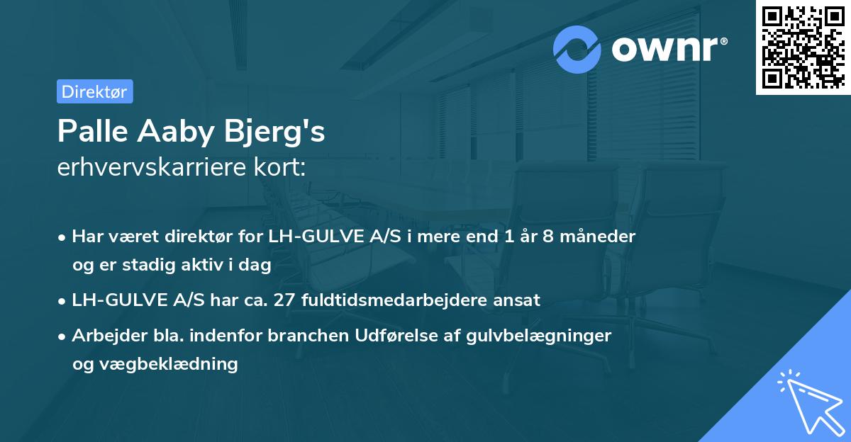 Palle Aaby Bjerg's erhvervskarriere kort