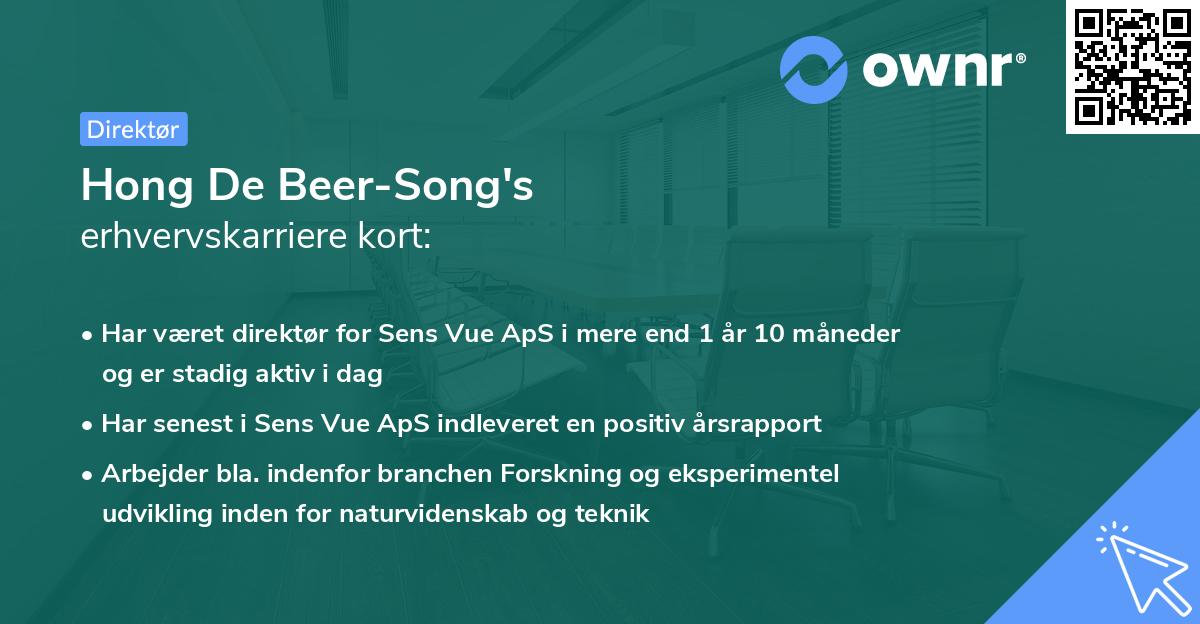 Hong De Beer-Song's erhvervskarriere kort