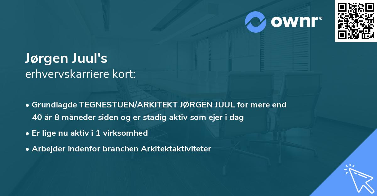 Jørgen Juul's erhvervskarriere kort