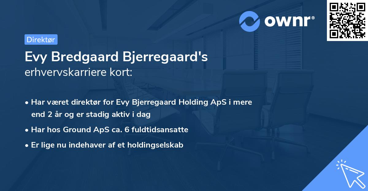 Evy Bredgaard Bjerregaard's erhvervskarriere kort